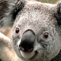 Profile Picture of Ginger Jeffries (@ginger-jeffries-2) on Quora