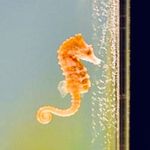 Profile Picture of Carissa Kelley (@carissa_arielle) on Instagram