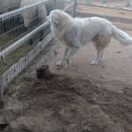 Profile Picture of Epifanio Lopez (@epifanio.lopez.935657) on Facebook