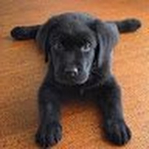 Profile Picture of Haley Harman (@haley_harman) on Poshmark