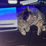 Profile Picture of Jacob McKinley (@jacob.mckinley.9480) on Facebook