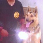 Richard G. Snead Jr - Instagram Profile Picture of Richard G. Snead Jr (@richardg.sneadjr) on Instagram