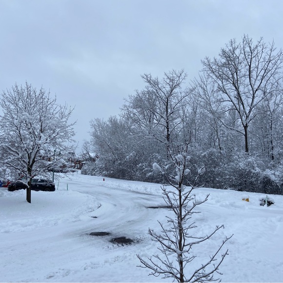 Profile Picture of Kaïlane Heppell (@kailaneheppell) on Poshmark