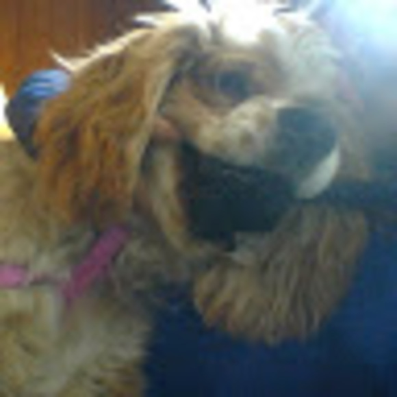 Profile Picture of Kate Lehman (@kglehman21) on Poshmark