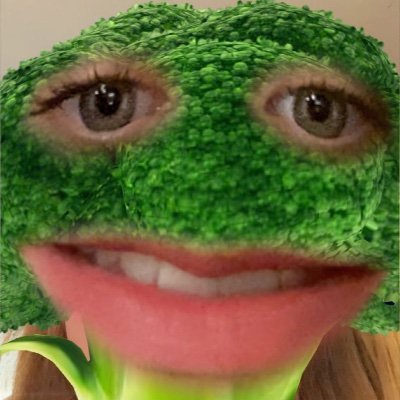 Profile Picture of Ashlynn Daugherty (@AshlynS96941030) on Twitter