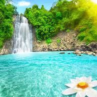 Profile Picture of Claudia Guy (@claudia.guy.52) on Facebook