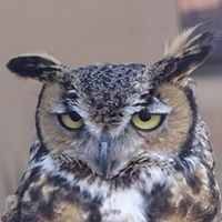 Profile Picture of Jon Grantham (@grantham0643) on Pinterest