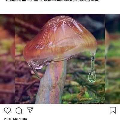 Profile Picture of Lezco (@BryanLezama6) on Twitter