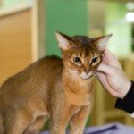 Profile Picture of Honeyman (@honeymansaudra3s) on Instagram