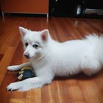 Profile Picture of 김피츠 (@kim_pitzzz) on Instagram