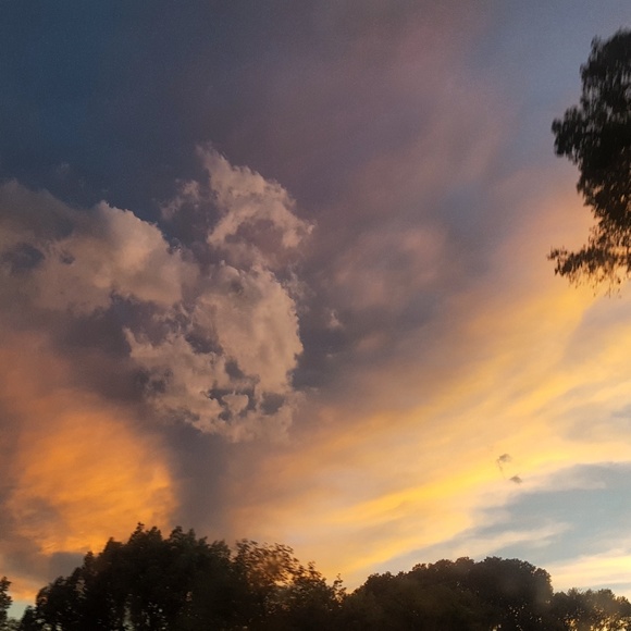 Profile Picture of Pam Mussett (@mussettpam) on Poshmark