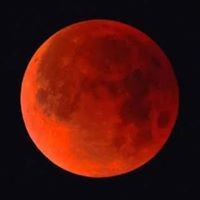 Profile Picture of Matthew Crouch (@matthew-crouch-13) on Quora
