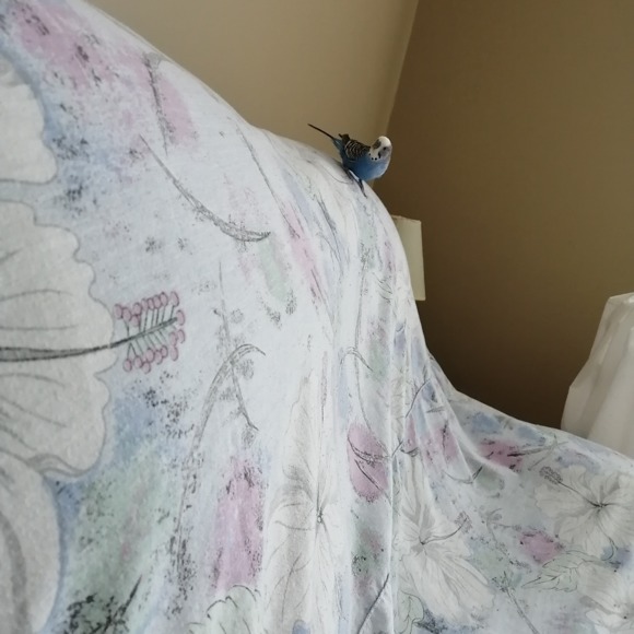 Profile Picture of Josee Bernier (@marcjosee1) on Poshmark