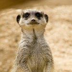Profile Picture of Michael Brueggemann (@michaelbrueggemann30) on Instagram