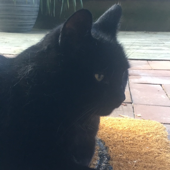 Laura Wydra - Poshmark Profile Picture of Laura Wydra (@lw2418) on Poshmark