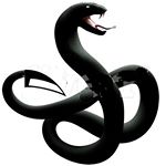 Profile Picture of Seth Roberson (@shivworksmedia) on Instagram