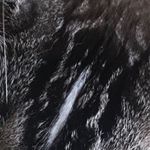 Profile Picture of michael (@michaellimbertloll) on Instagram