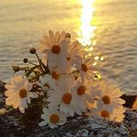 Profile Picture of Betül Akbunar (@akbunarb) on Instagram