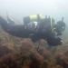 Profile Picture of Peter Carstensen (@carstensenpeter) on Pinterest