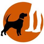 Profile Picture of Jason Lake (@prodogzdogtraining) on Instagram