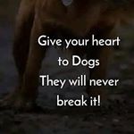 Dixson joe - Instagram Profile Picture of Dixson joe (@d_j_mad_dog) on Instagram