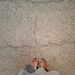 Profile Picture of Alice Sainsbury (@palmhearts) on Pinterest