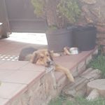 Profile Picture of Aarón García Cataño (@aarongc31) on Instagram