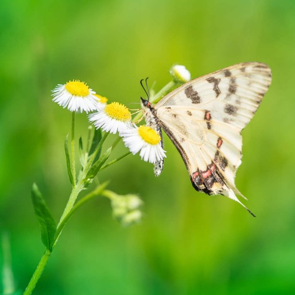 Profile Picture of Kenneth Henderson (@kennethhende466) on Poshmark