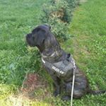 Profile Picture of Davide Maiolo (@maiolodavide) on Instagram