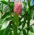 Profile Picture of Agapito Escobedo (@agapito.escobedo.376) on Facebook