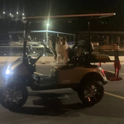 Profile Picture of Jeff Hoberg (@jeffhoberg1) on Twitter