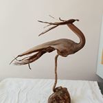 Profile Picture of daniel salorio (@saloriodaniel) on Instagram