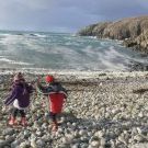 Profile Picture of Pamela Carroll (@meala) on Pinterest