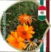 Profile Picture of Verdugo Maritza (@maritza.verdugo.12) on Facebook
