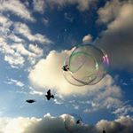 Profile Picture of darrell_harper (@darrell_harper) on Instagram