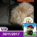 Profile Picture of Tony Dupont (@tony.dupont.98) on Facebook