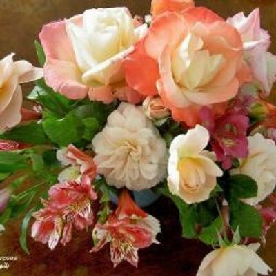 Sabah Mohamed - Twitter Profile Picture of Sabah Mohamed (@SabahMohamed2) on Twitter