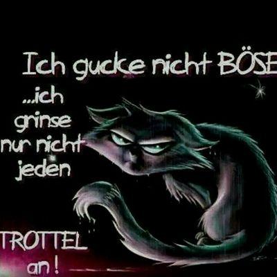 Profile Picture of Patrick Otto (@po_otto) on Twitter