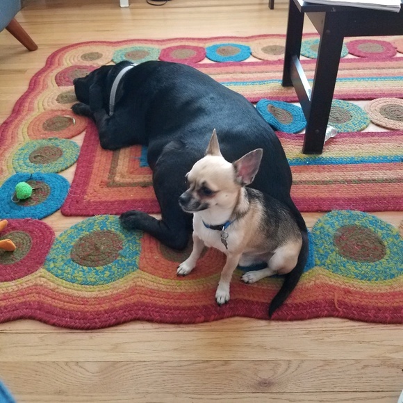 Profile Picture of Eric Ridout (@ejridout) on Poshmark