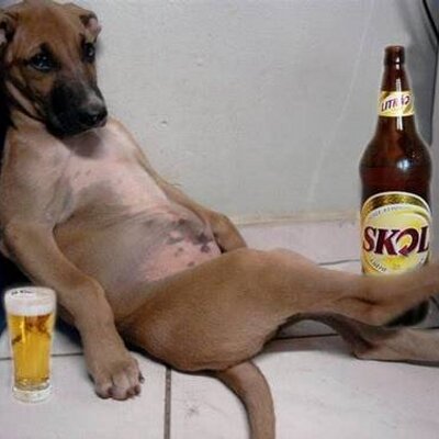 Profile Picture of Julio Cesar Alcaraz (@cochinitoalca) on Twitter