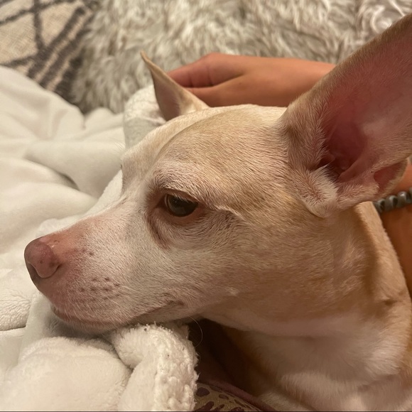 Profile Picture of Spencer Curry (@spencercurry) on Poshmark