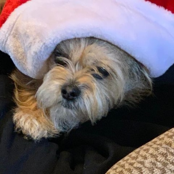 Profile Picture of Marcie Lowery-friel (@jmdbrg03) on Poshmark