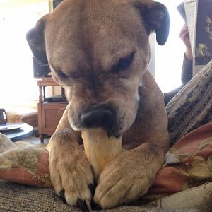 Profile Picture of davidswhitford (@davidswhitford) on Tiktok