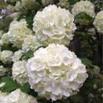 Profile Picture of Cathy Triplett (@cathy.triplett.3) on Instagram