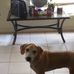Profile Picture of Phyllis Summers (@phyllis.summers.129) on Facebook
