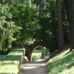 Profile Picture of Allan (@allanjollysi) on Instagram