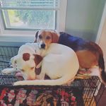 Profile Picture of Calvino and January (@calvin_january) on Instagram