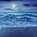 Profile Picture of Lynne Moon (@Lynne-Moon) on Facebook