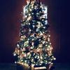 Profile Picture of Autumn Pollock (@autumnpollock8) on Tiktok