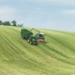 Profile Picture of Scott (@scott_lavis) on Instagram